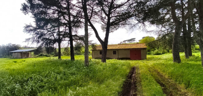 Terreno Agricolo in vendita
