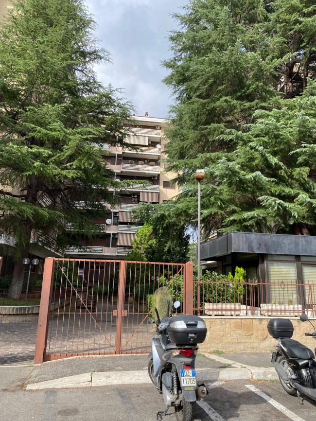 Appartamento in affitto