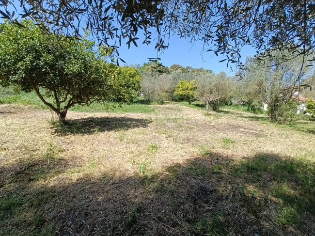Terreno Agricolo in vendita