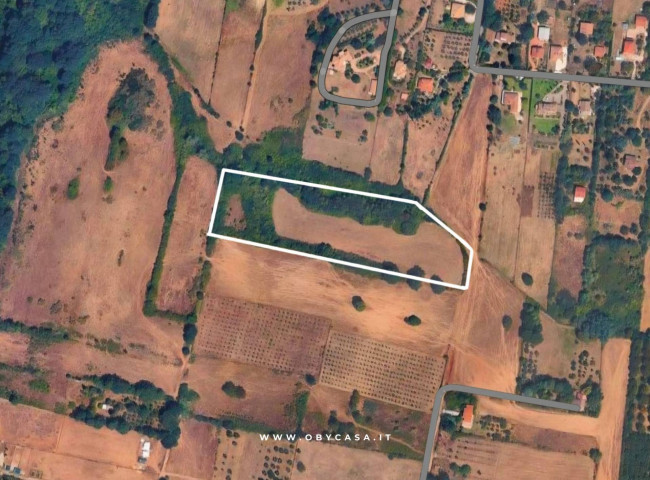 Terreno Agricolo in vendita