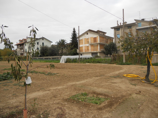 Villa Unifamiliare - Indipendente MONSAMPOLO DEL TRONTO vendita  Stella di Monsampolo  Casa Broker di Maravalle Nevio Luciano