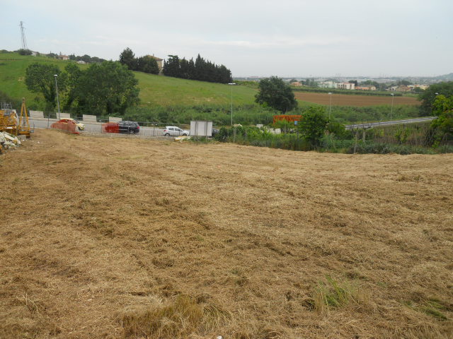 Terreno edificabile in vendita a Centobuchi, Monteprandone (AP)