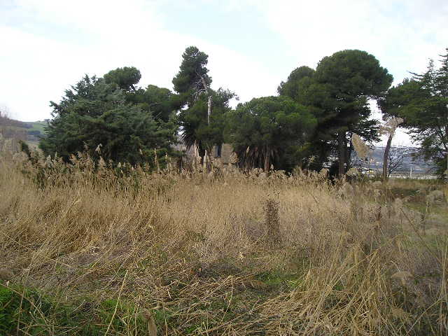 Villa MARTINSICURO vendita  Villa Rosa  Casa Broker di Maravalle Nevio Luciano