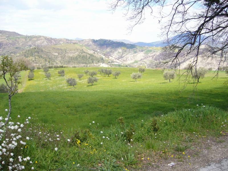 Terreno ASCOLI PICENO vendita  Rosara  Casa Broker di Maravalle Nevio Luciano