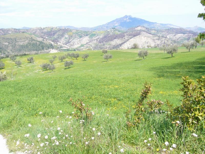 Terreno ASCOLI PICENO vendita  Rosara  Casa Broker di Maravalle Nevio Luciano