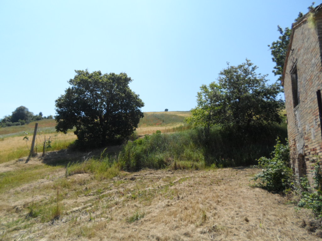 Rustico - Cascina ACQUAVIVA PICENA vendita  Sant