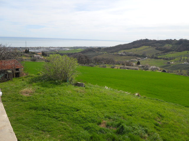 Rustico - Cascina COLONNELLA vendita    Casa Broker di Maravalle Nevio Luciano