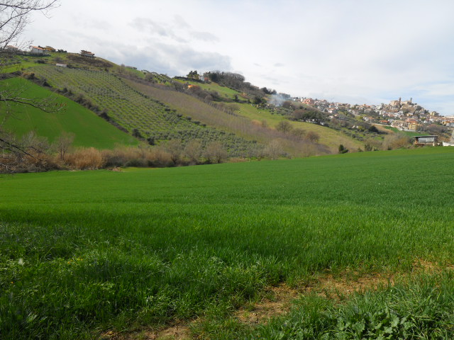 Rustico - Cascina COLONNELLA vendita    Casa Broker di Maravalle Nevio Luciano