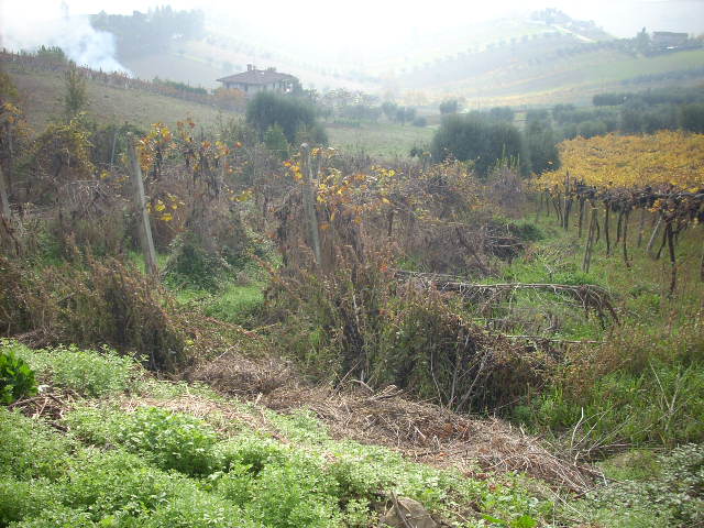 Rustico - Cascina MONTEPRANDONE vendita    Casa Broker di Maravalle Nevio Luciano