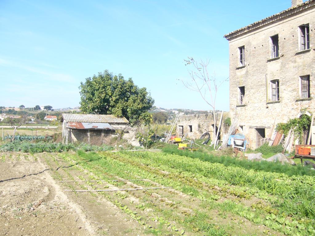 Rustico - Cascina MONTEPRANDONE vendita    Casa Broker di Maravalle Nevio Luciano