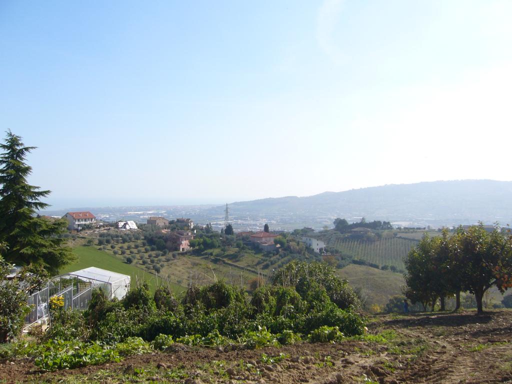 Rustico - Cascina MONTEPRANDONE vendita    Casa Broker di Maravalle Nevio Luciano
