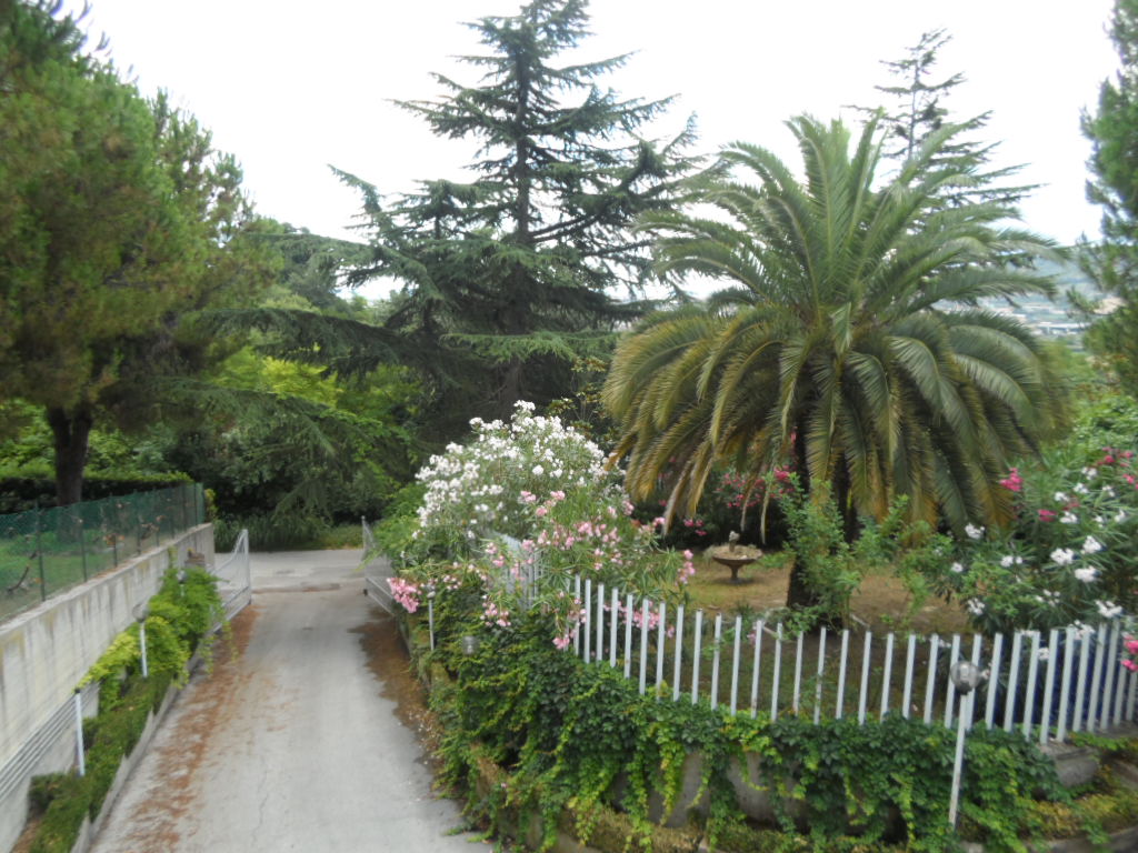 Villa MONTEPRANDONE vendita  Centobuchi  Casa Broker di Maravalle Nevio Luciano