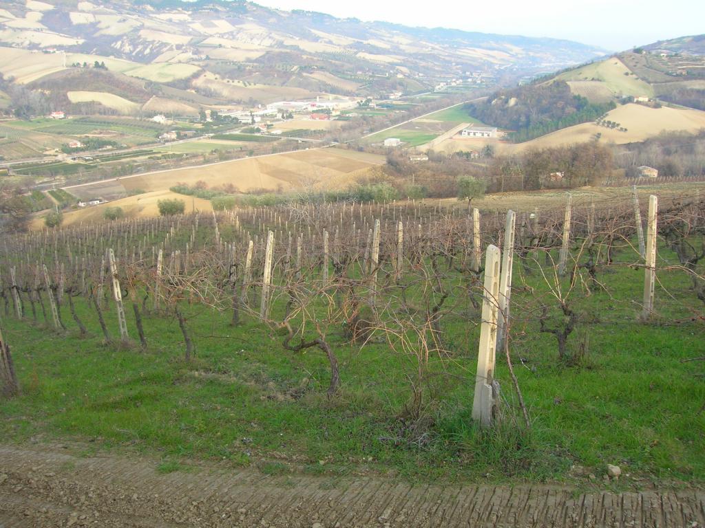 Villa Unifamiliare - Indipendente RIPATRANSONE vendita    Casa Broker di Maravalle Nevio Luciano