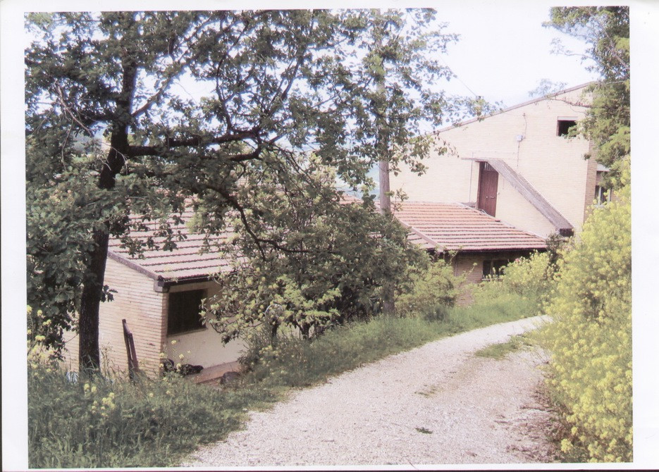 Rustico - Cascina CARASSAI vendita    Casa Broker di Maravalle Nevio Luciano