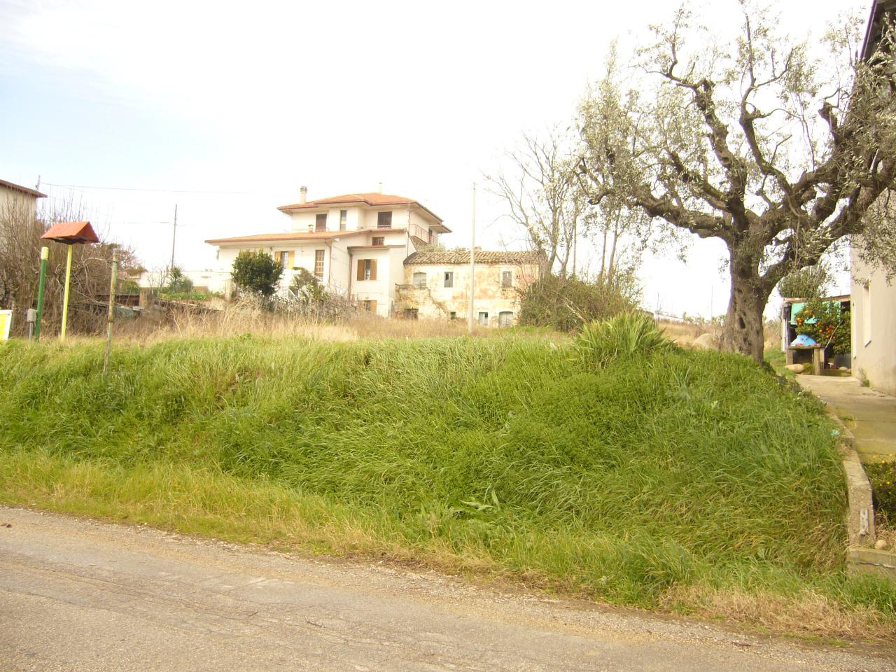 Rustico - Cascina COLONNELLA vendita    Casa Broker di Maravalle Nevio Luciano