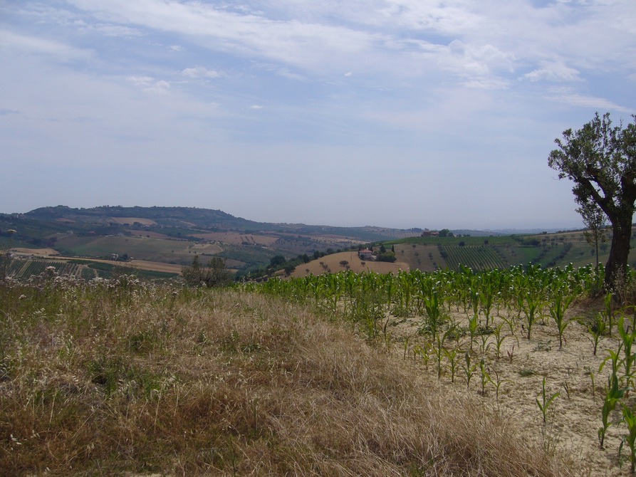 Rustico - Cascina CONTROGUERRA vendita  Panoramica  Casa Broker di Maravalle Nevio Luciano