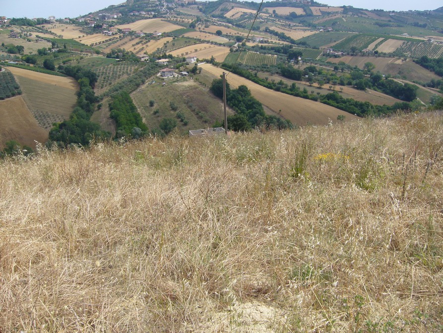 Rustico - Cascina CONTROGUERRA vendita  Panoramica  Casa Broker di Maravalle Nevio Luciano