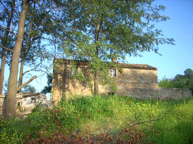 Rustico - Cascina RIPATRANSONE vendita    Casa Broker di Maravalle Nevio Luciano