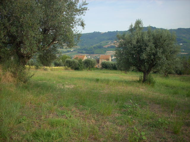 Rustico - Cascina CUPRA MARITTIMA vendita    Casa Broker di Maravalle Nevio Luciano