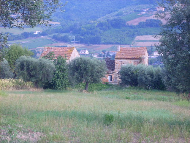 Rustico - Cascina CUPRA MARITTIMA vendita    Casa Broker di Maravalle Nevio Luciano