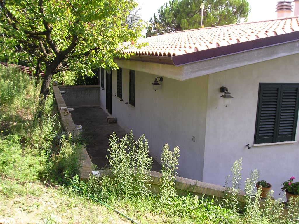 Villa Unifamiliare - Indipendente SAN BENEDETTO DEL TRONTO vendita  Porto d