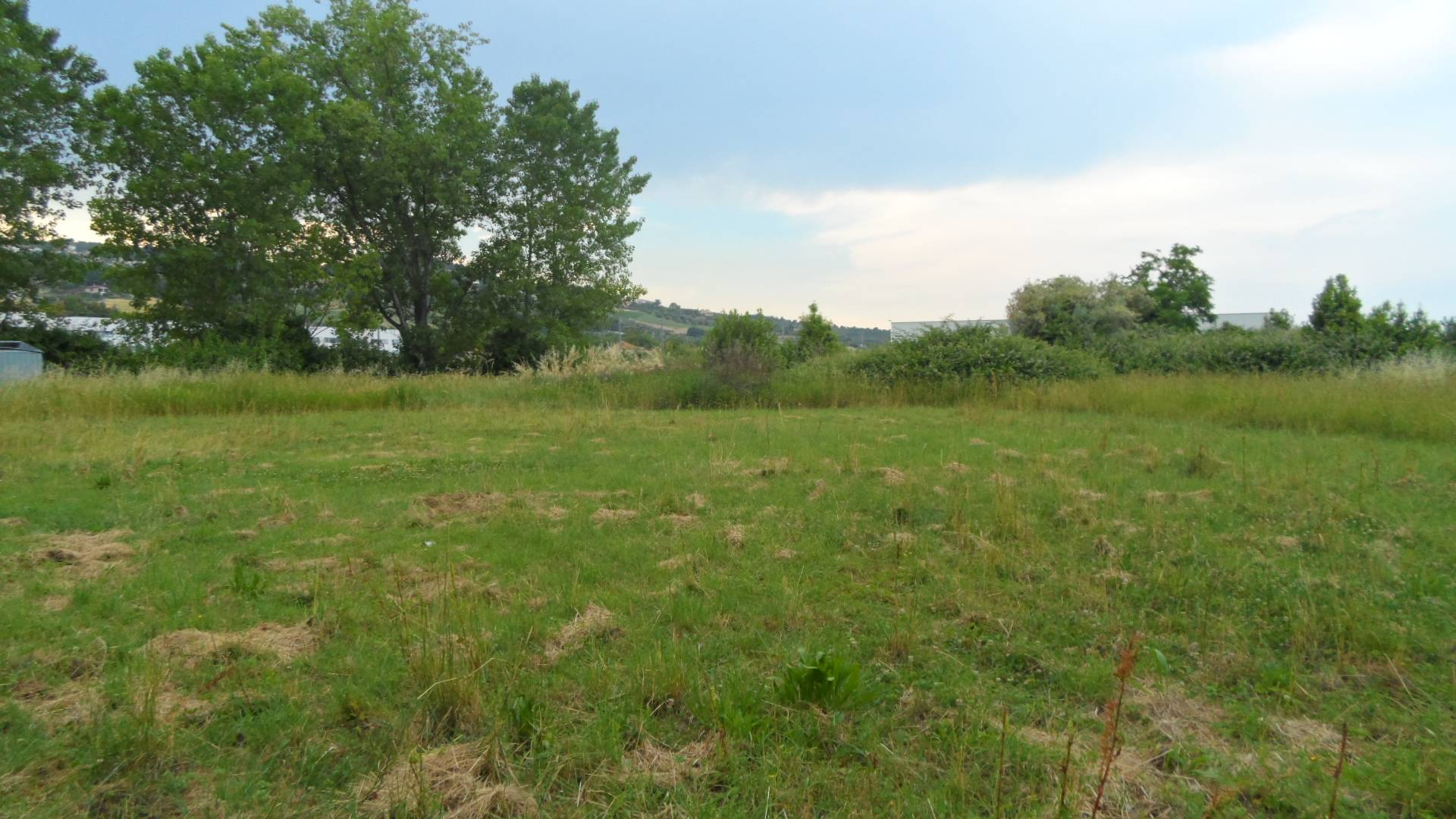 Rustico - Cascina MARTINSICURO vendita  Residenziale  Casa Broker di Maravalle Nevio Luciano