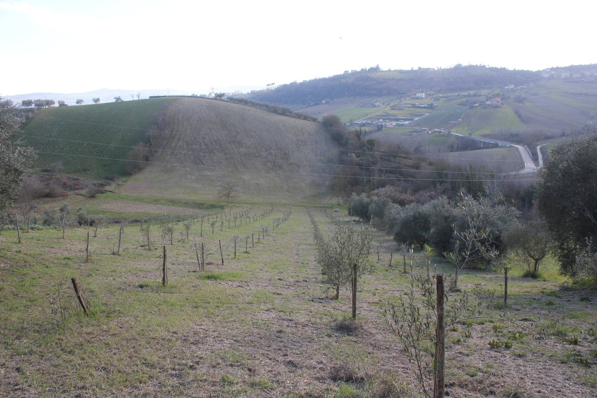 Rustico - Cascina MONSAMPOLO DEL TRONTO vendita  Monsampolo  Casa Broker di Maravalle Nevio Luciano