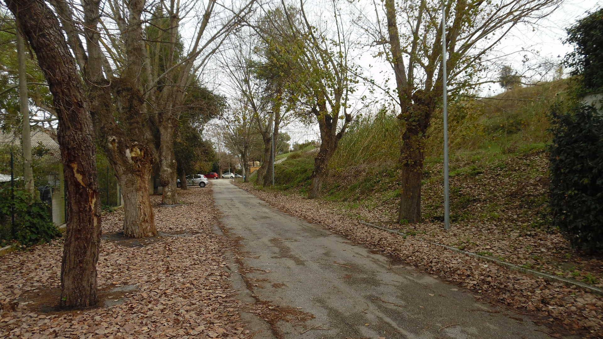 Villa Unifamiliare - Indipendente SAN BENEDETTO DEL TRONTO vendita  Ponte Rotto  Casa Broker di Maravalle Nevio Luciano