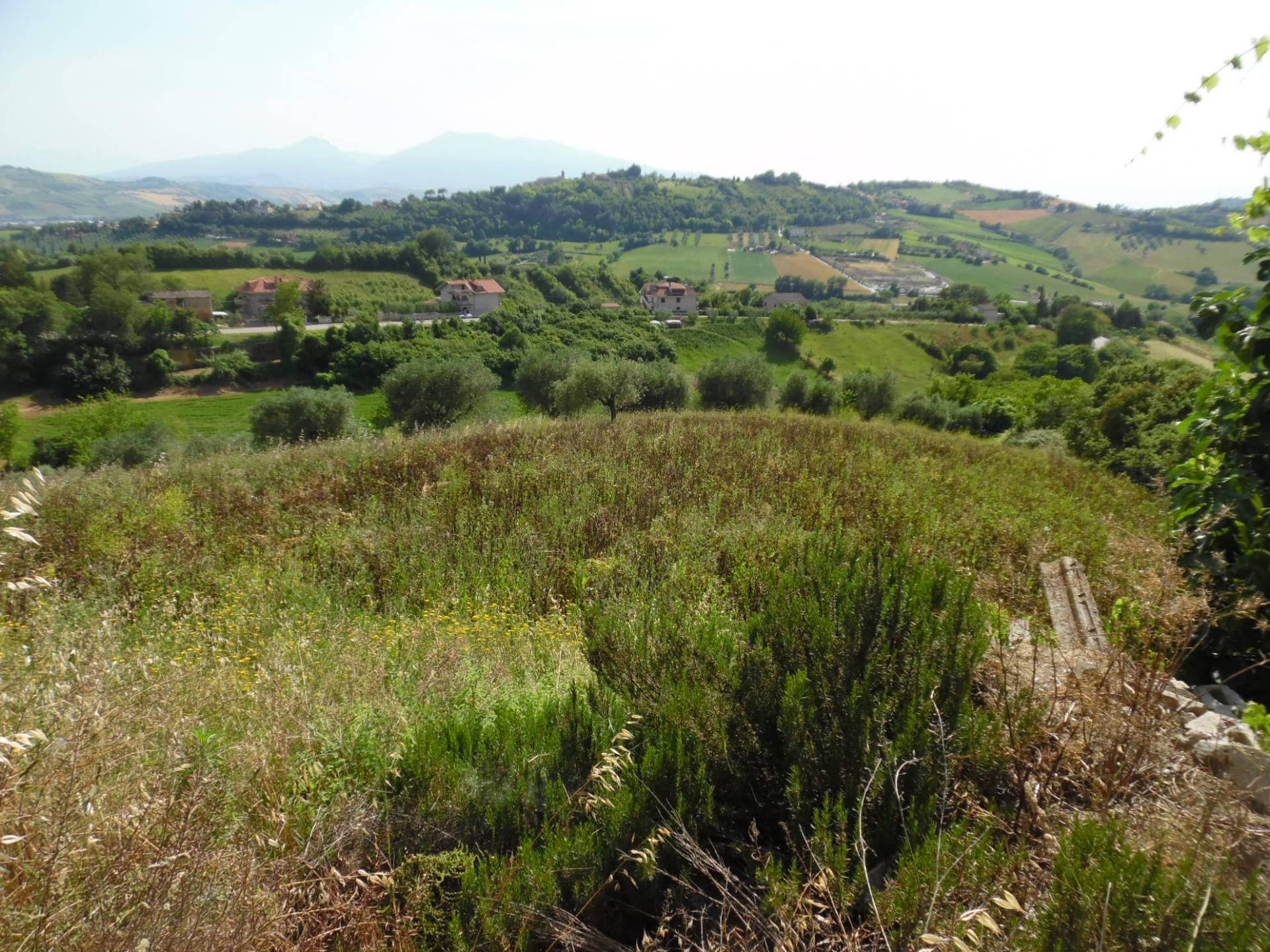 Villa Unifamiliare - Indipendente MONSAMPOLO DEL TRONTO vendita  Monsampolo  Casa Broker di Maravalle Nevio Luciano