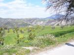 Terreno Agricolo in vendita a Ascoli Piceno