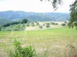 Terreno Agricolo in vendita a Ascoli Piceno