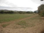 Terreno Agricolo in vendita a Monsampolo del Tronto