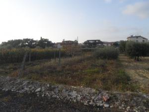 Terreno edificabile in vendita a Monteprandone
