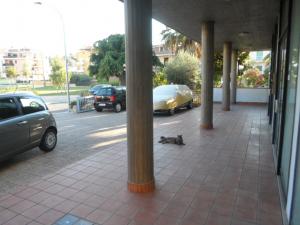 Locale commerciale in affitto a San Benedetto del Tronto