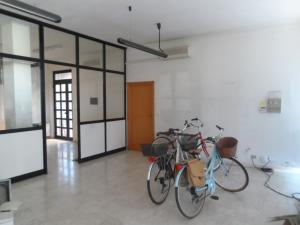Locale commerciale in affitto a San Benedetto del Tronto