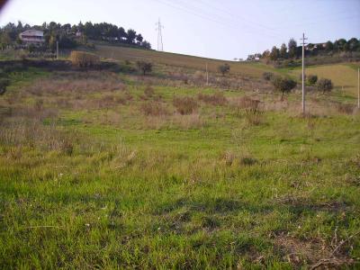 Terreno Agricolo in vendita a Monteprandone