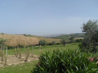 Terreno Agricolo in vendita a Colonnella