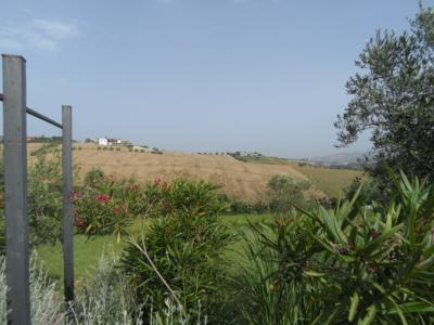 Terreno Agricolo in vendita a Colonnella
