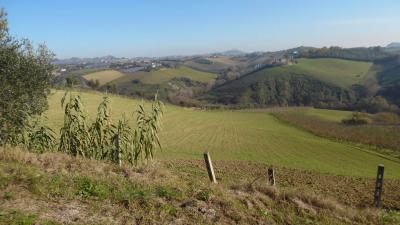 Terreno Agricolo in vendita a Monsampolo del Tronto