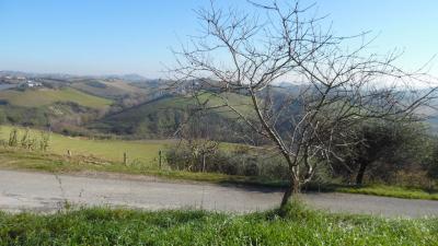 Terreno Agricolo in vendita a Monsampolo del Tronto