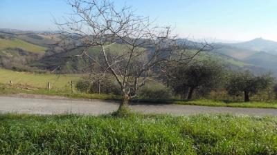 Terreno Agricolo in vendita a Monsampolo del Tronto