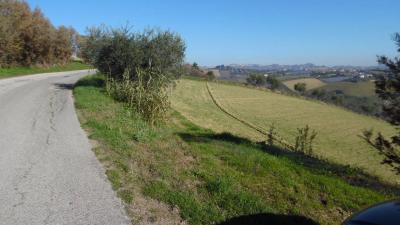 Terreno Agricolo in vendita a Monsampolo del Tronto