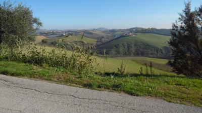 Terreno Agricolo in vendita a Monsampolo del Tronto
