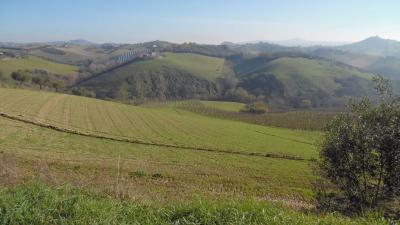 Terreno Agricolo in vendita a Monsampolo del Tronto
