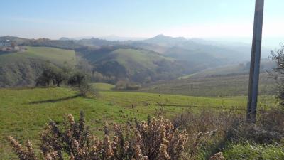 Terreno Agricolo in vendita a Monsampolo del Tronto