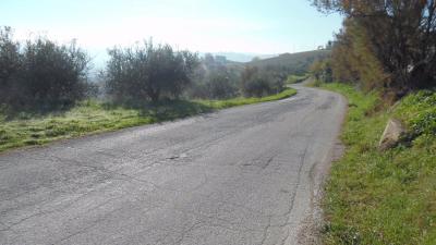 Terreno Agricolo in vendita a Monsampolo del Tronto