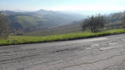 Terreno Agricolo in vendita a Monsampolo del Tronto
