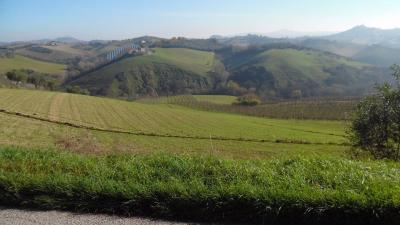 Terreno Agricolo in vendita a Monsampolo del Tronto