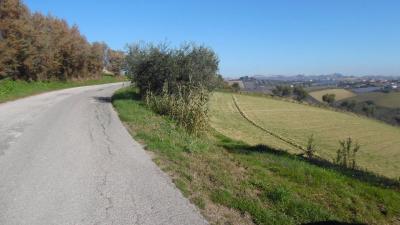 Terreno Agricolo in vendita a Monsampolo del Tronto