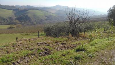 Terreno Agricolo in vendita a Monsampolo del Tronto
